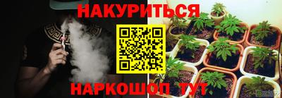 прущие грибы Новодвинск
